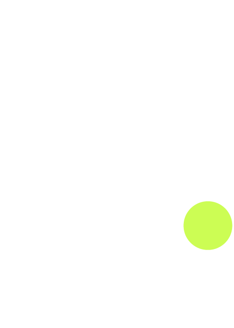 Quizevo Logo